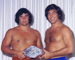 Jerry Brisco