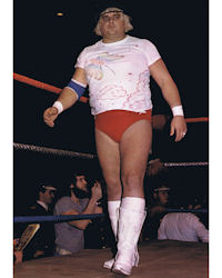 Arn Anderson