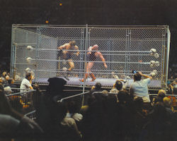 Harley Race