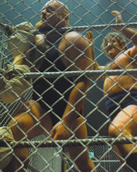 Harley Race