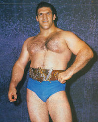 Bruno Sammartino