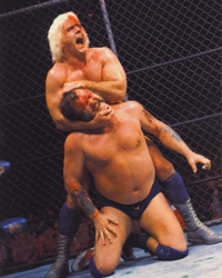 Ric Flair vs Harley Race