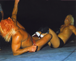 Ric Flair vs Buddy Landel