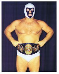 mr wrestling
