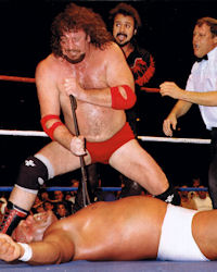 Terry Funk