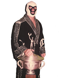 Mr. Wrestling II