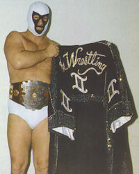 Mr. Wrestling II