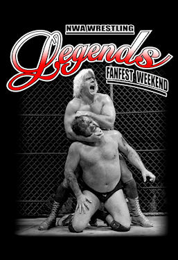 2009 Fanfest Logo