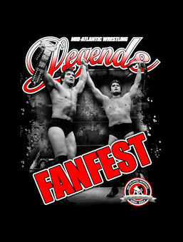 2014 Fanfest Poster