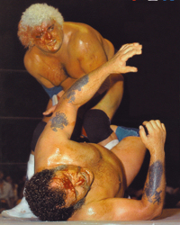 Harley Race
