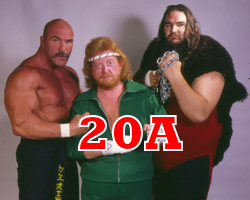 Bruno Sammartino vs Baron Von Raschke