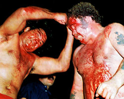Harley Race