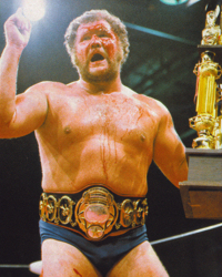 Harley Race