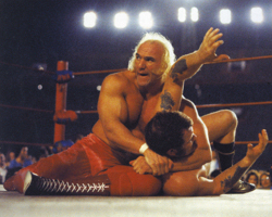 Harley Race
