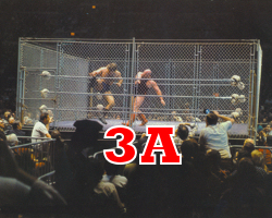 Ken Patera