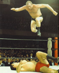 Dory Funk Jr.