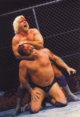 Harley Race and Ric Flair