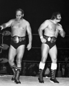 Gene and Ole Anderson