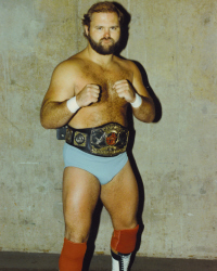 Arn Anderson