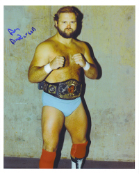 Arn Anderson