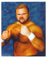 Arn Anderson