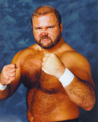 Arn Anderson
