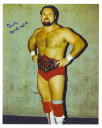 Arn Anderson