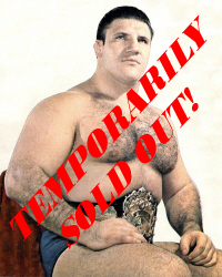 Bruno Sammartino