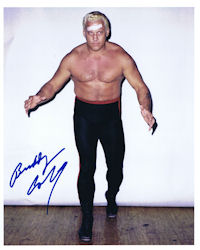 Buddy Colt
