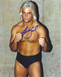 Buddy Landel