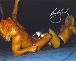 Buddy Landel