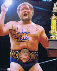 Harley Race