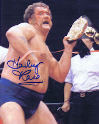 Harley Race