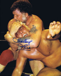 Harley Race