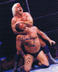 Harley Race