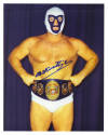 Mr. Wrestling II