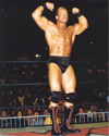 Lex Luger