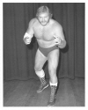 Ole Anderson