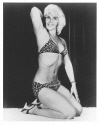 Penny Banner