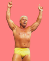 Ron Garvin