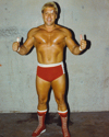 Ron Garvin