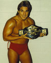 Terry Taylor
