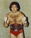 Tully Blanchard